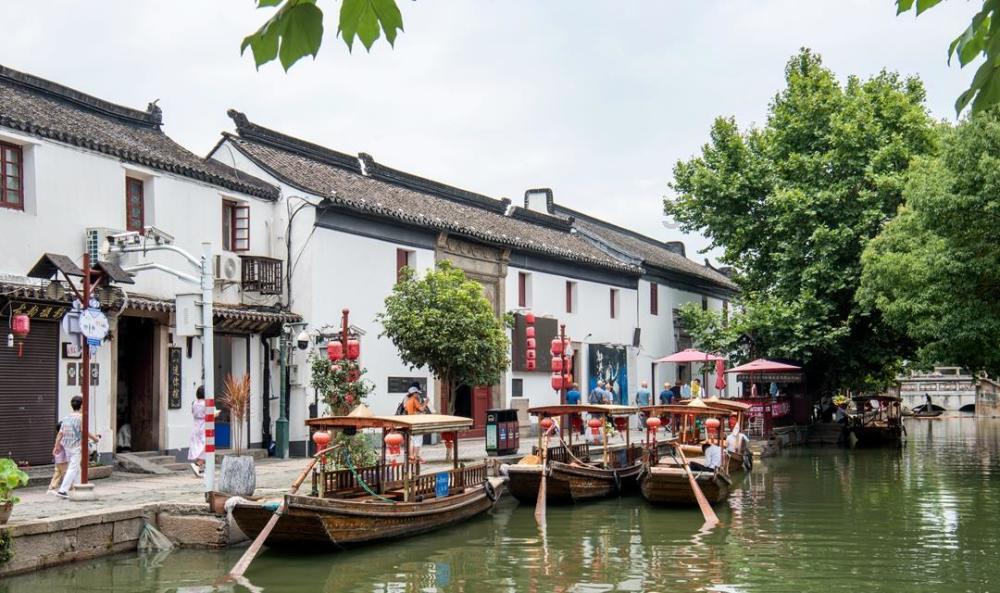 拯救枯树